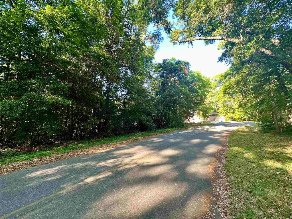 Photo of 104 Engwall Circle, Gadsden, FL 32333 (MLS # 401860)
