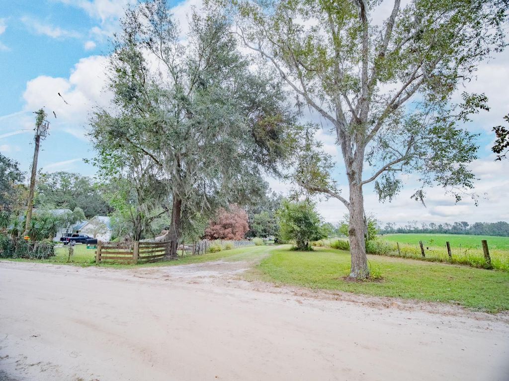 Photo of 1048 NE Duval Pond Road, Madison, FL 32340 (MLS # 395631)