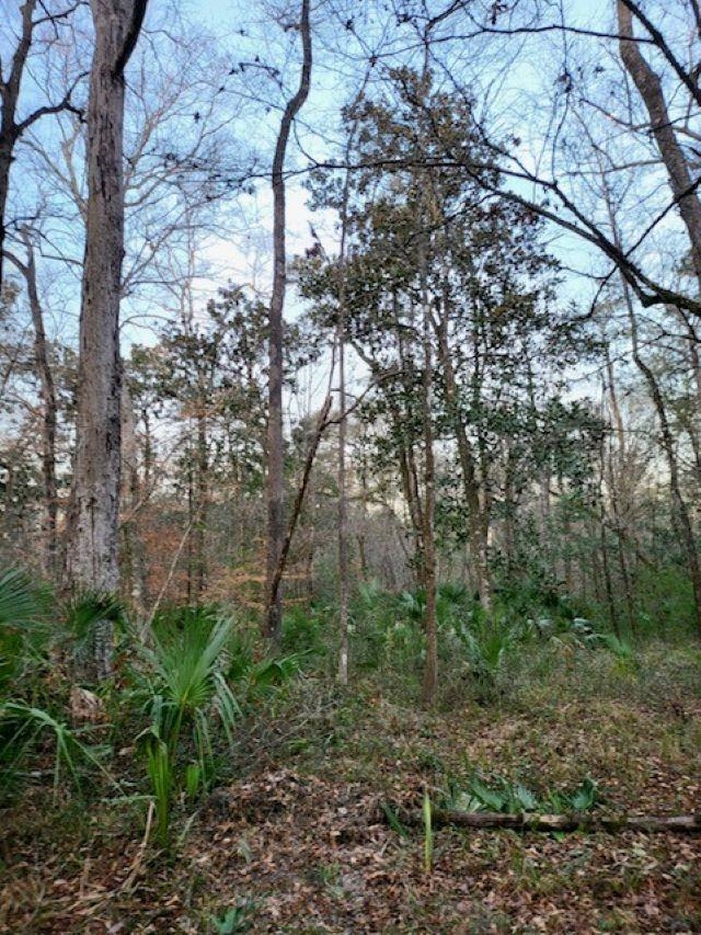 xx River Plantation Road