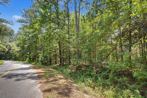 BEAVER CREEK DR, HAVANA, FL 32333 - Image 5911e2c9d9733f4b0f3c3a70aace2c8c/3828458089