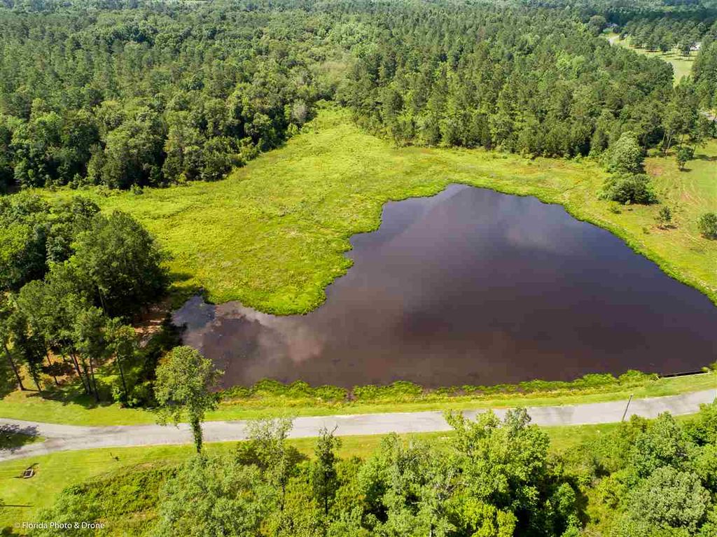 Photo of Lot 10 San Bonita Boulevard #1, Havana, FL 32333 (MLS # 379582)