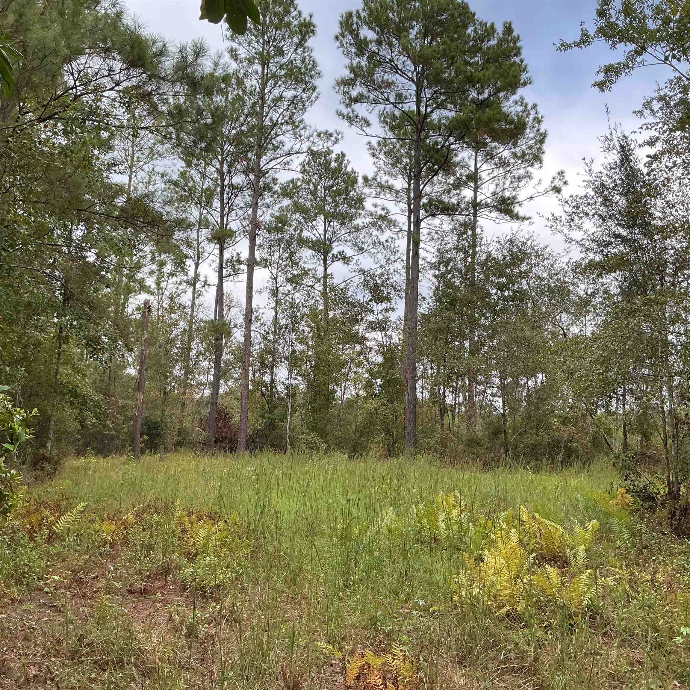 TBD S Salt Road