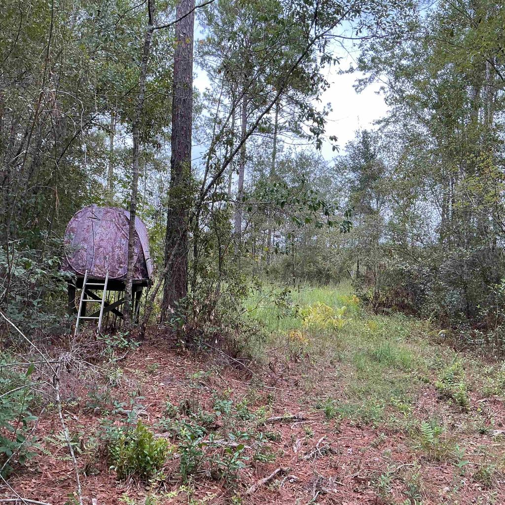Photo of TBD S Salt Road, Monticello, FL 32344 (MLS # 392035)
