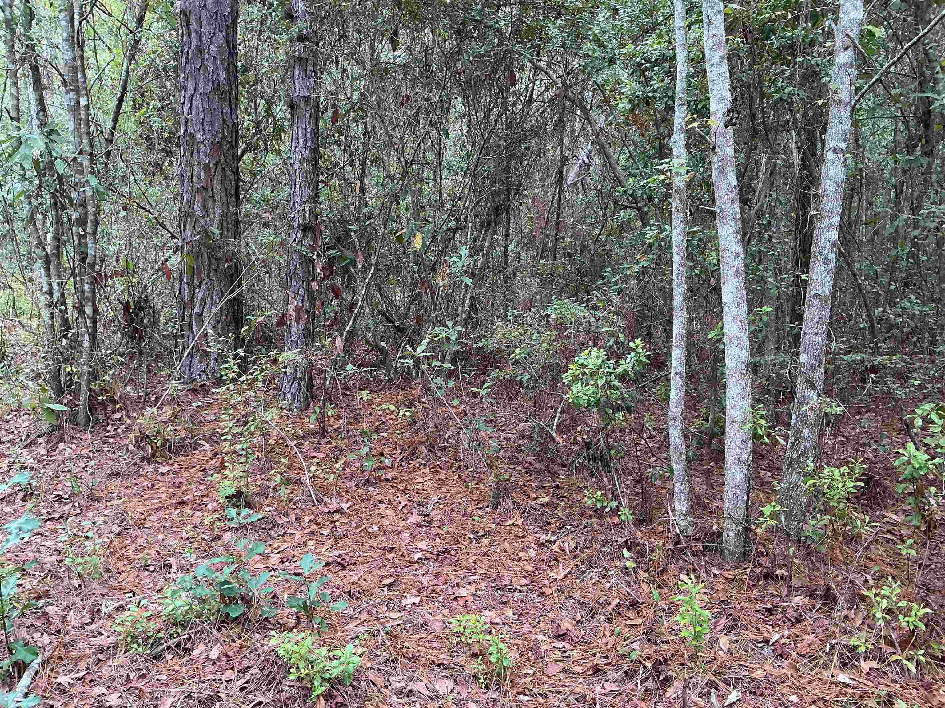 TBD S Salt Road
