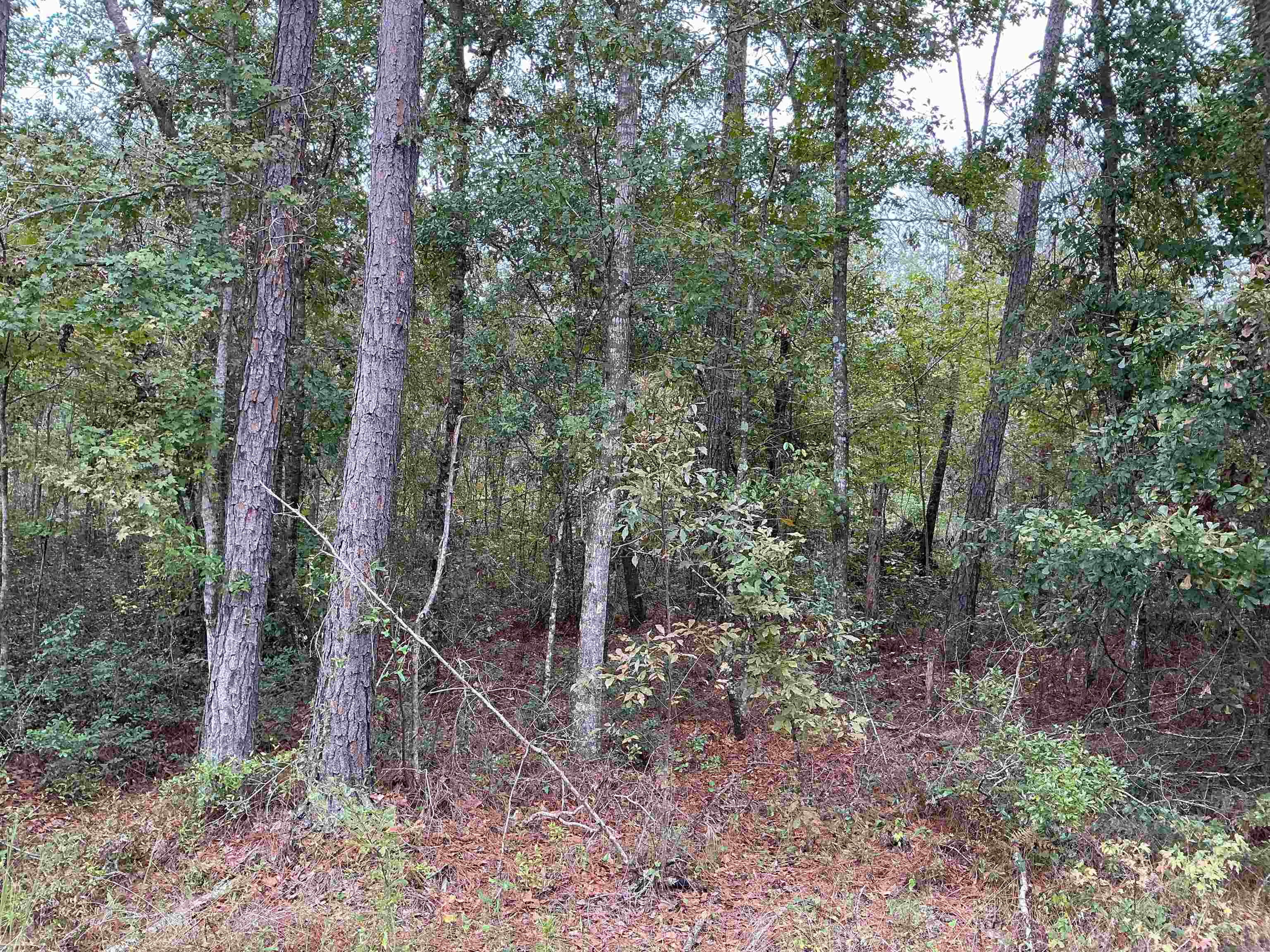 TBD S Salt Road