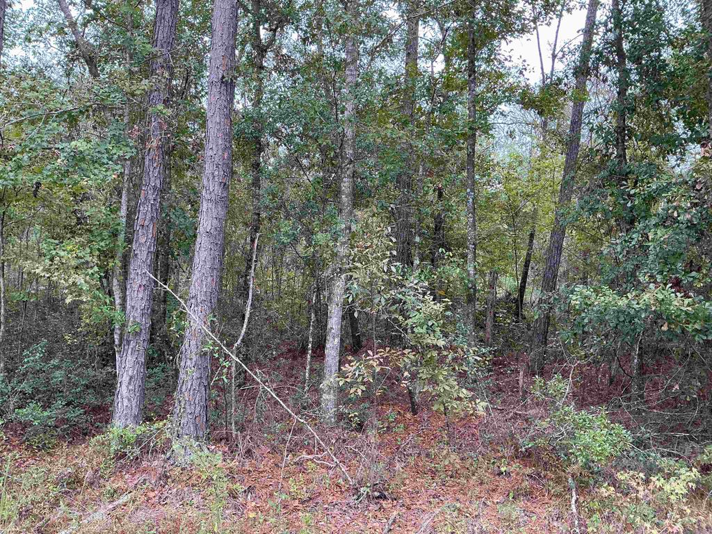 Photo of TBD S Salt Road, Monticello, FL 32344 (MLS # 392035)