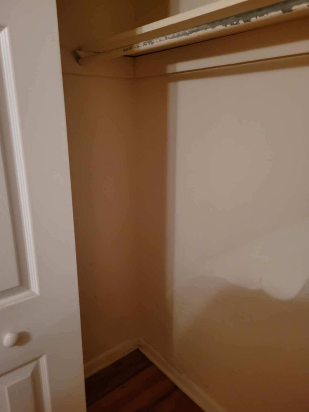 Photo of 1505 Hudson Street #4, Tallahassee, FL 32301 (MLS # 396550)