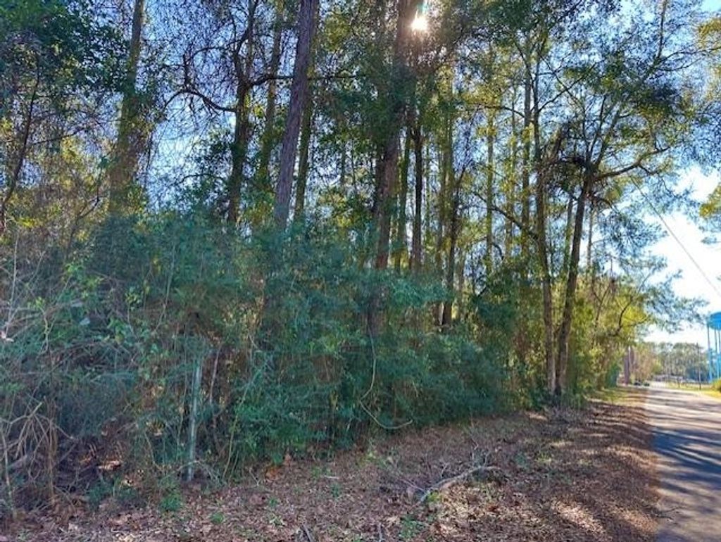 Photo of XX Harvey-Pitman Street, Crawfordville, FL 32327 (MLS # 396586)