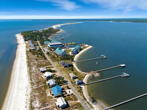 Tiny photo for 1630 Alligator Drive, Alligator Point, FL 32346 (MLS # 397762)