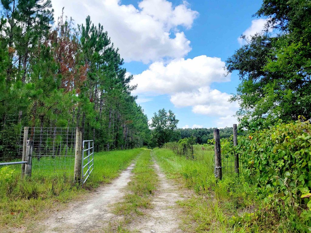 Photo of 15710 184Th Street, Other Florida, FL 32071 (MLS # 389945)