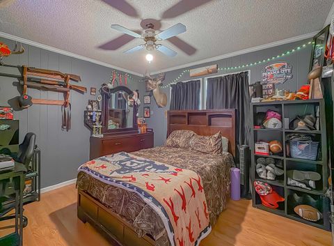 Tiny photo for 15356 SW Faircloth Road Road, Blountstown, FL 32424 (MLS # 399354)