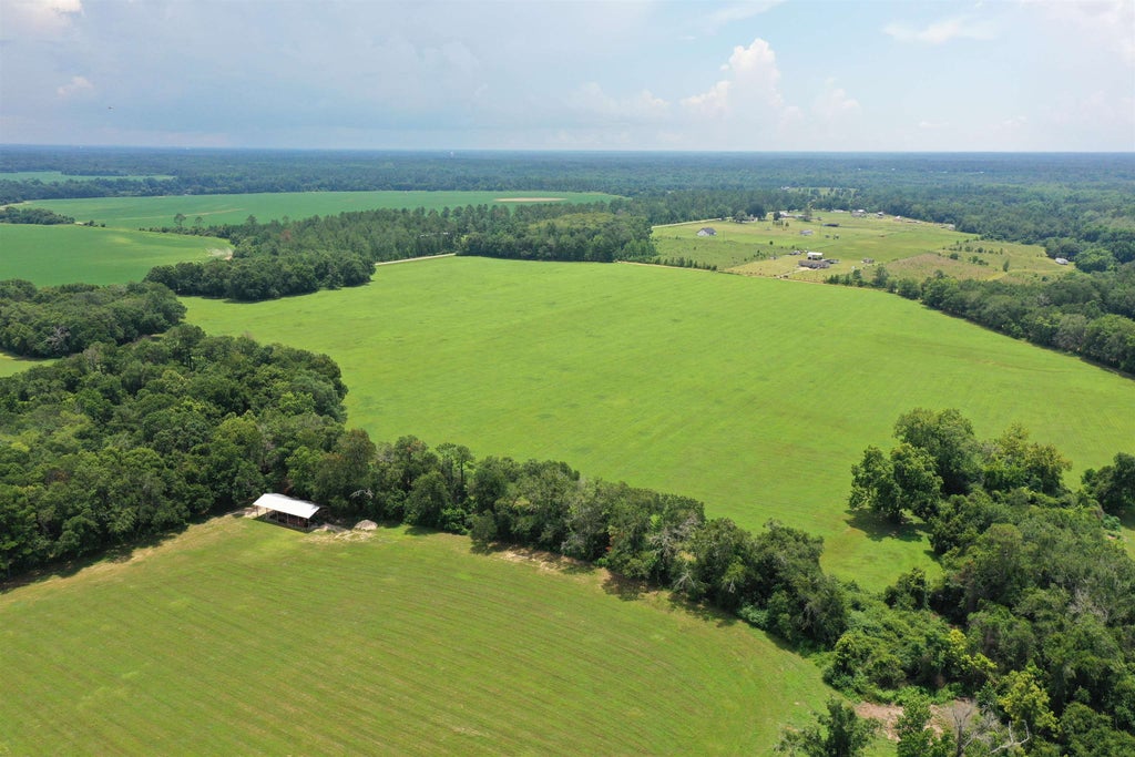 Photo of xx Max Herrin Road, Quincy, FL 32351 (MLS # 402291)