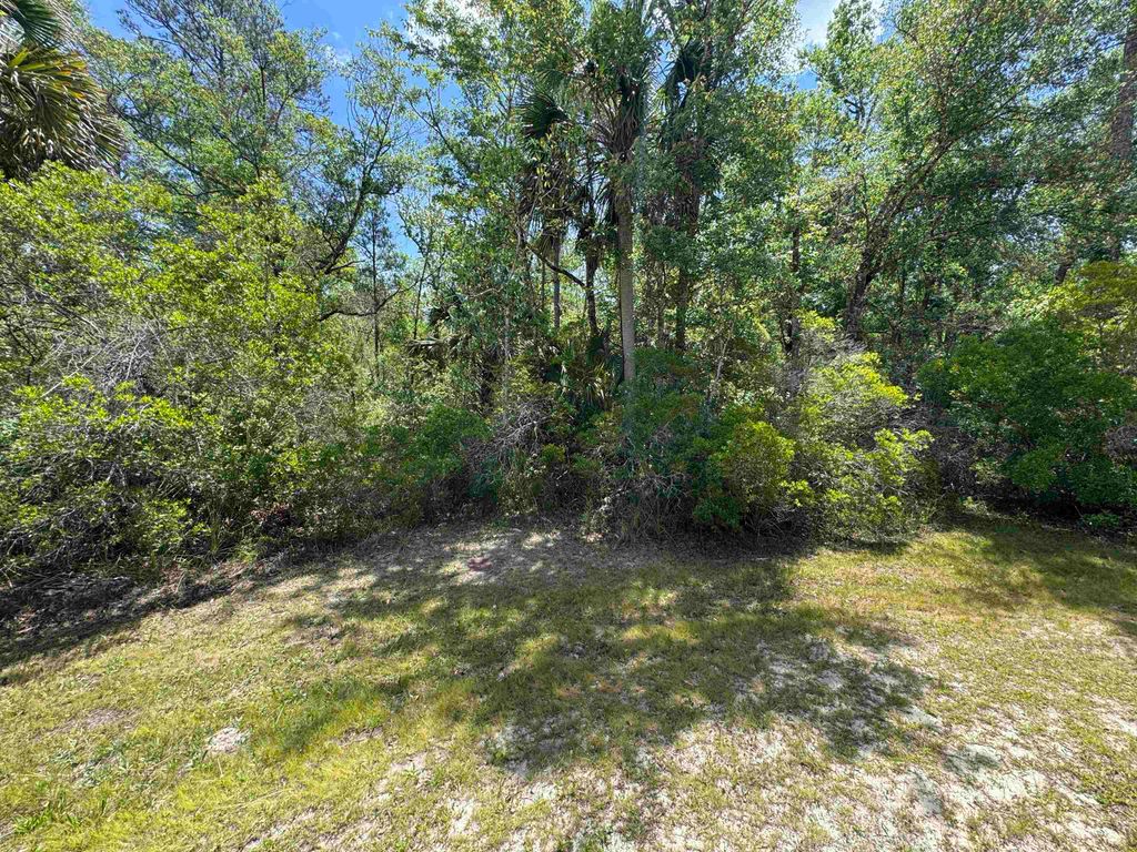 Photo of xx BURNT PINE Loop, St Marks, FL 32355 (MLS # 399575)