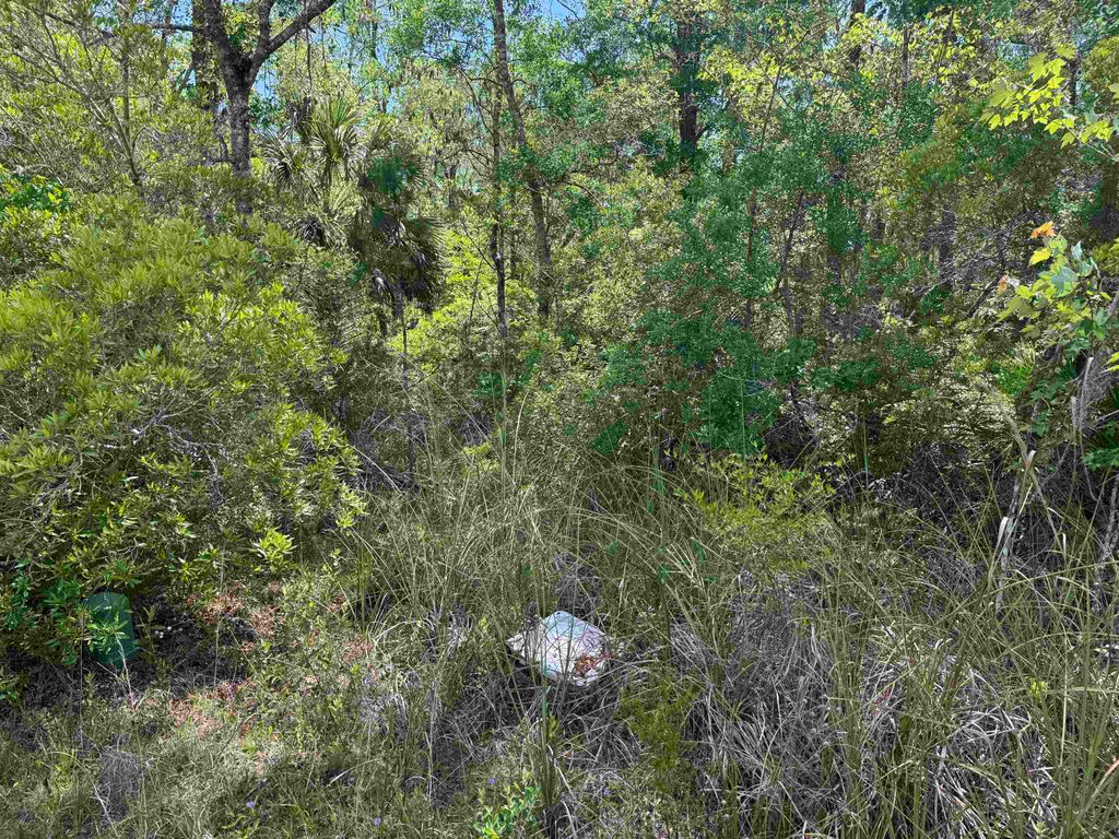 Photo of xx BURNT PINE Loop, St Marks, FL 32355 (MLS # 399575)