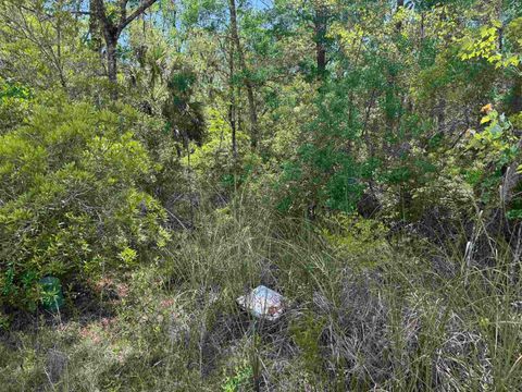 Tiny photo for xx BURNT PINE Loop, St Marks, FL 32355 (MLS # 399575)