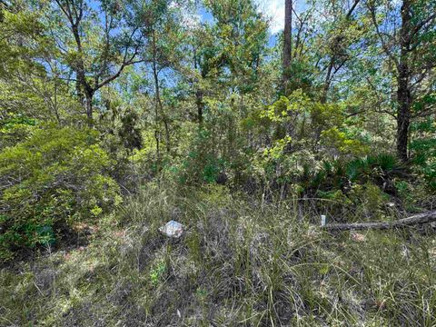 Tiny photo for xx BURNT PINE Loop, St Marks, FL 32355 (MLS # 399575)
