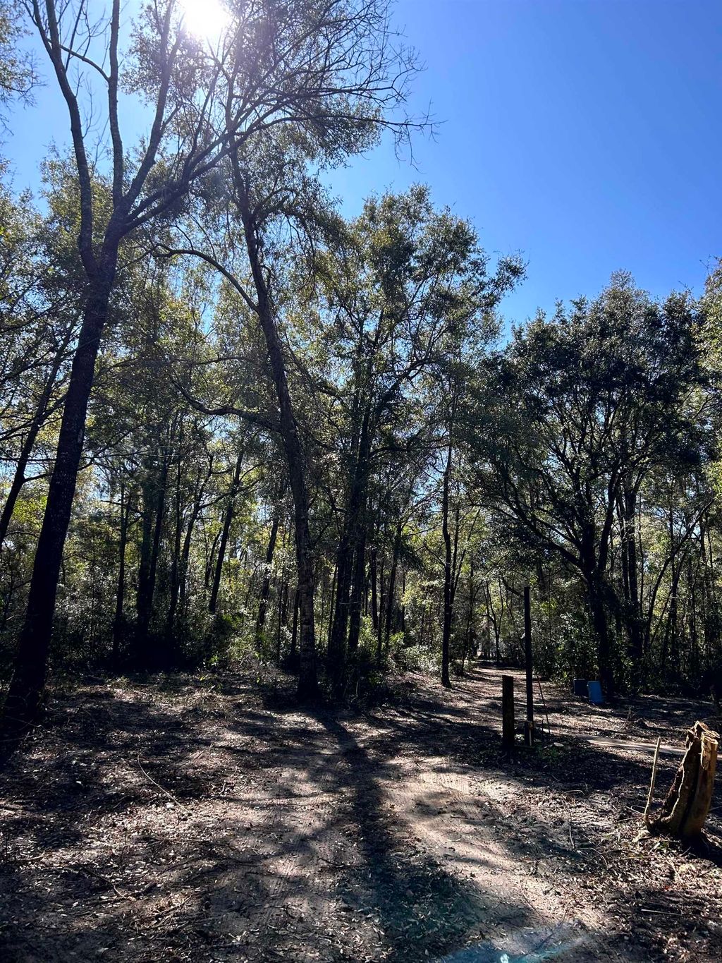 Photo of 26 Rosewood Road, Crawfordville, FL 32327 (MLS # 395857)