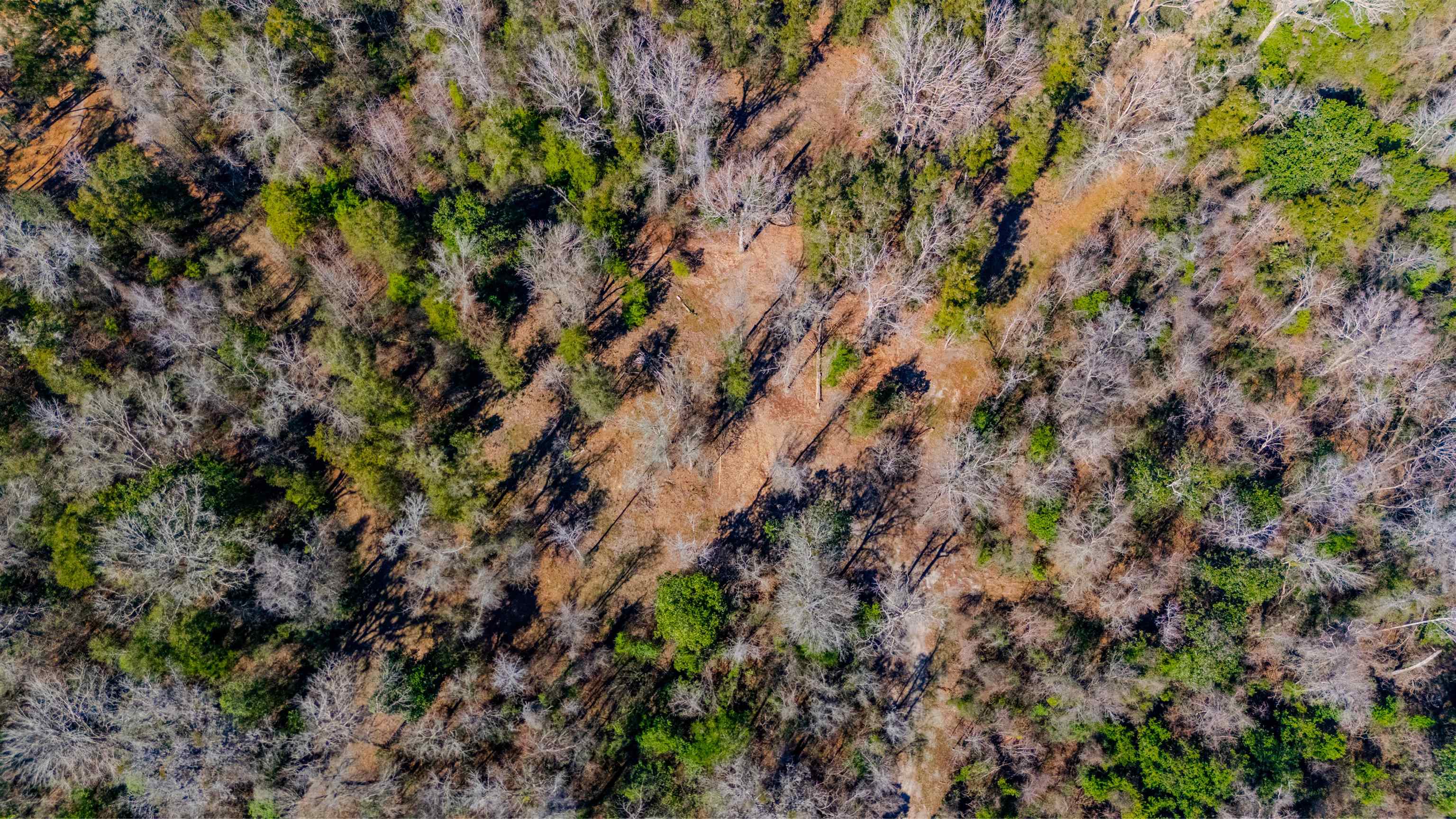 20 ac OLD TOWN HAMMOCK Lane