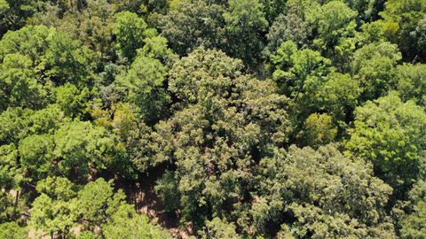 Tiny photo for Dogwood Hill, Tallahassee, FL 32312 (MLS # 392288)