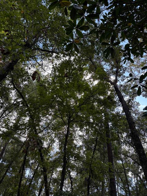 Tiny photo for Dogwood Hill, Tallahassee, FL 32312 (MLS # 392288)
