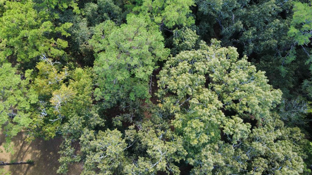 Photo of Dogwood Hill, Tallahassee, FL 32312 (MLS # 392288)