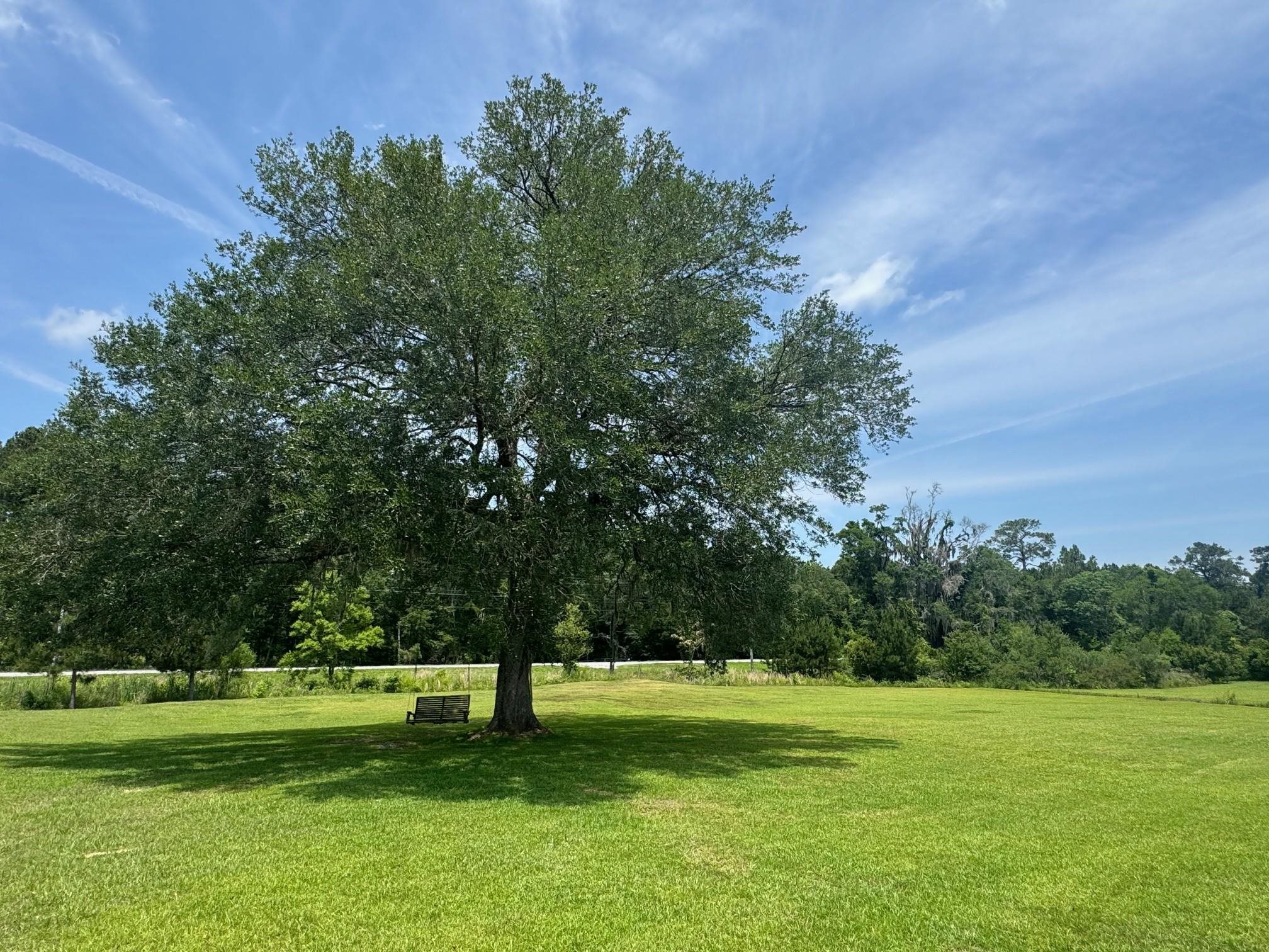 101 Willow Ridge Circle