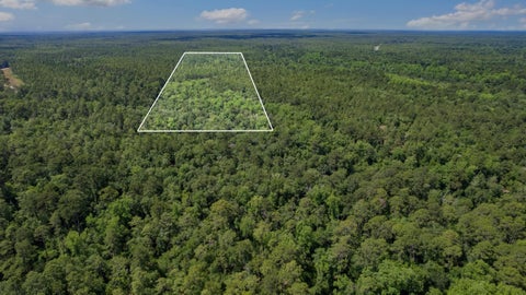 Tiny photo for 21204 John Ford Lane #N/A, Tallahassee, FL 32310 (MLS # 400975)