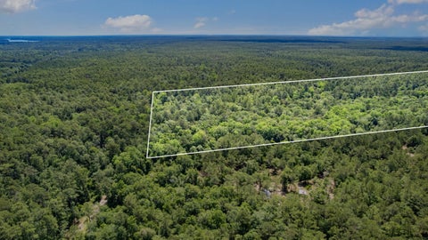 Tiny photo for 21204 John Ford Lane #N/A, Tallahassee, FL 32310 (MLS # 400975)