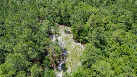 Tiny photo for 21204 John Ford Lane #N/A, Tallahassee, FL 32310 (MLS # 400975)