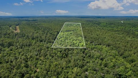 Tiny photo for 21204 John Ford Lane #N/A, Tallahassee, FL 32310 (MLS # 400975)