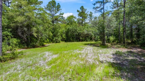 Tiny photo for 21204 John Ford Lane #N/A, Tallahassee, FL 32310 (MLS # 400975)