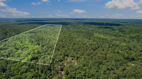 Tiny photo for 21204 John Ford Lane #N/A, Tallahassee, FL 32310 (MLS # 400975)