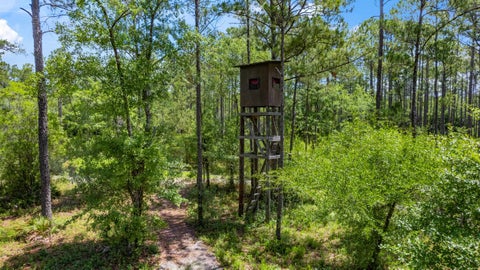 Tiny photo for 21204 John Ford Lane #N/A, Tallahassee, FL 32310 (MLS # 400975)