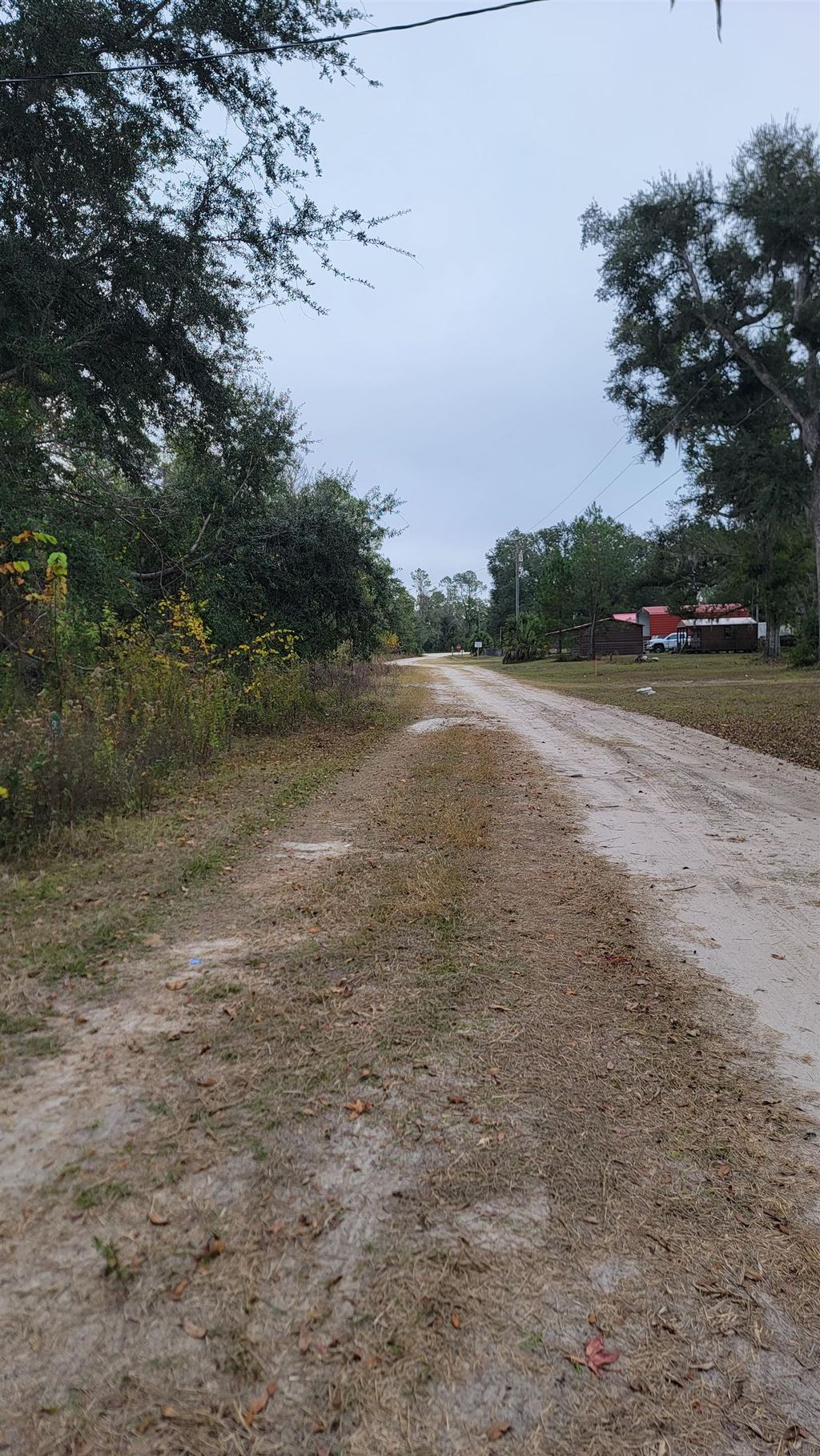 Photo of 3560 S WOODLAND Drive, Perry, FL 32348 (MLS # 393794)