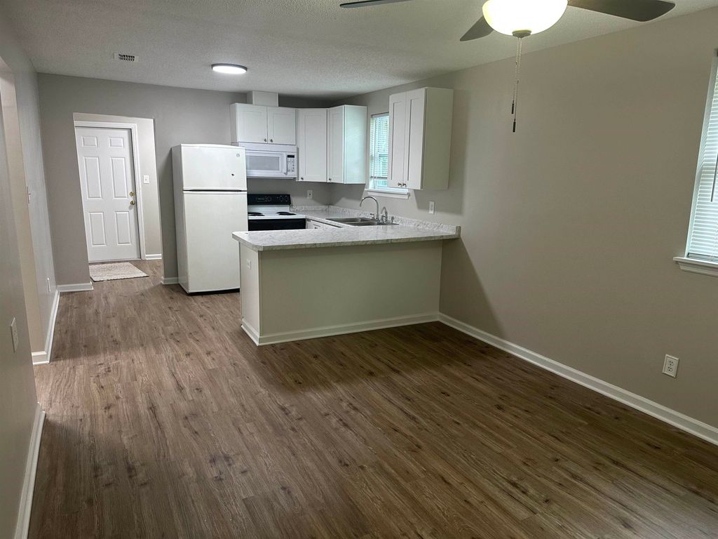 Photo of 707 Dent Street, Tallahassee, FL 32304 (MLS # 393956)