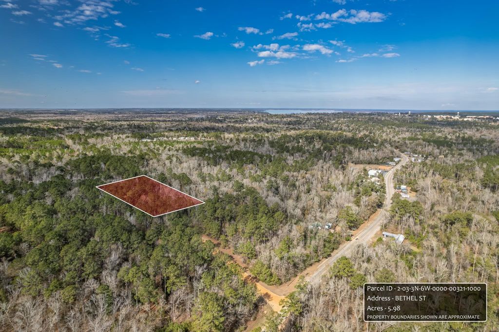 Photo of x Bethel Street, Chattahoochee, FL 32324 (MLS # 396318)