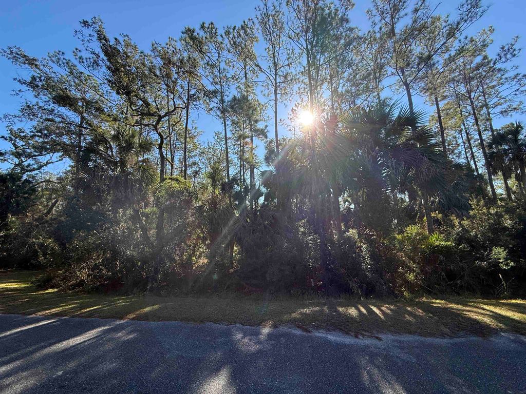 Photo of XX Hobbs Way, St Marks, FL 32355 (MLS # 394432)
