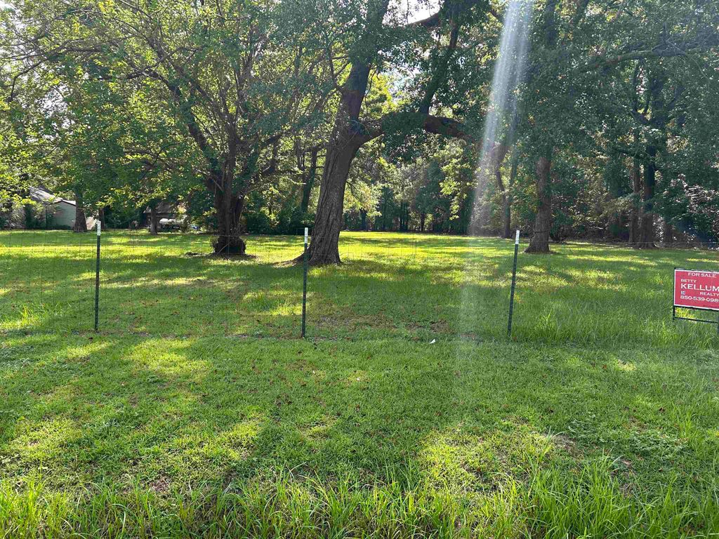 Photo of 14047 MAIN Street, Gretna, FL 32332 (MLS # 388364)