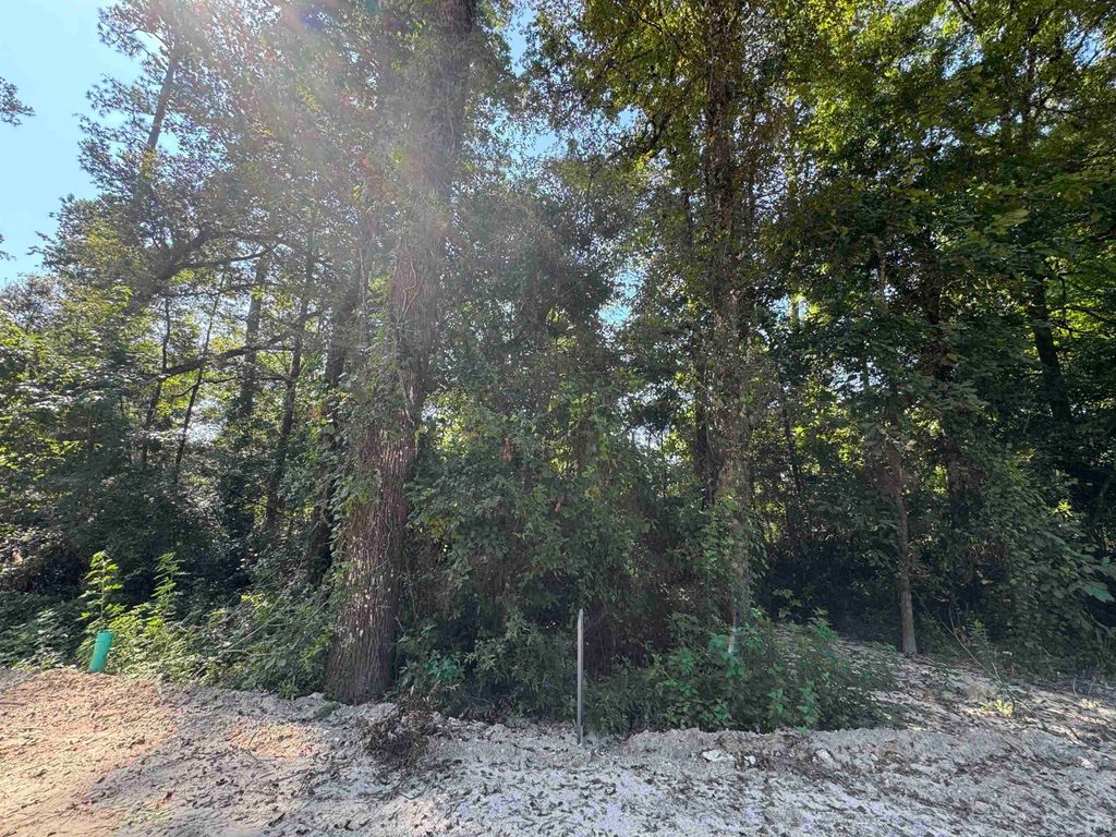 Photo of 0 Sioux Trail, Crawfordville, FL 32327 (MLS # 394858)