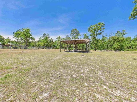 Tiny photo for 2230 Black Oak Road, Keaton Beach, FL 32348 (MLS # 399238)