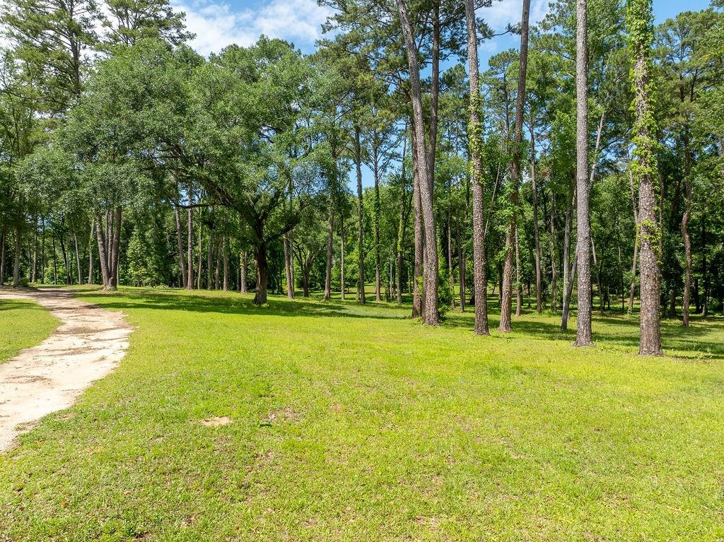 0 Gallant Fox Trail
