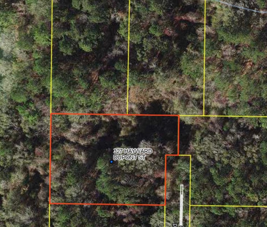 327 Hayward/Dupont Road