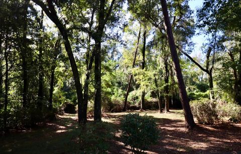 A home in Tallahassee