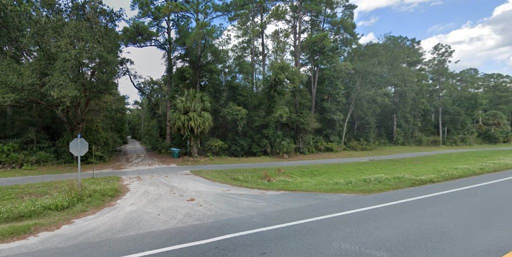 Photo of lot 6 Whippoorwill Lane, Crawfordville, FL 32327 (MLS # 388019)