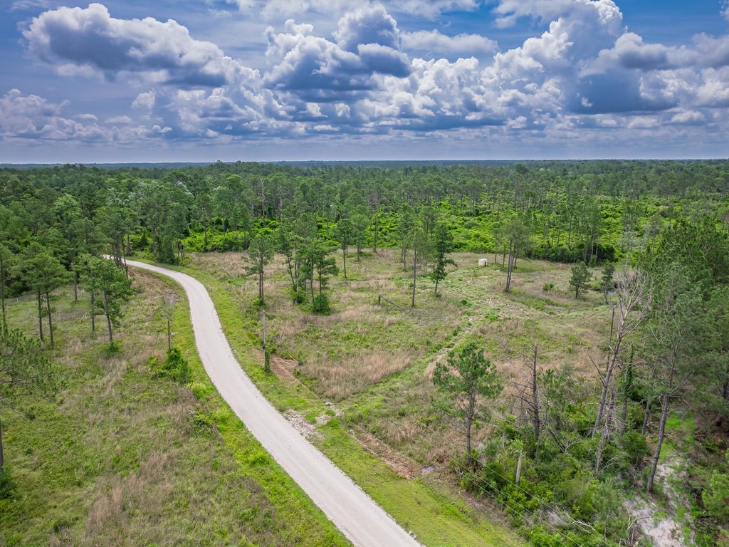 Photo of 0000 Albert Henry Road, Perry, FL 32348 (MLS # 402736)