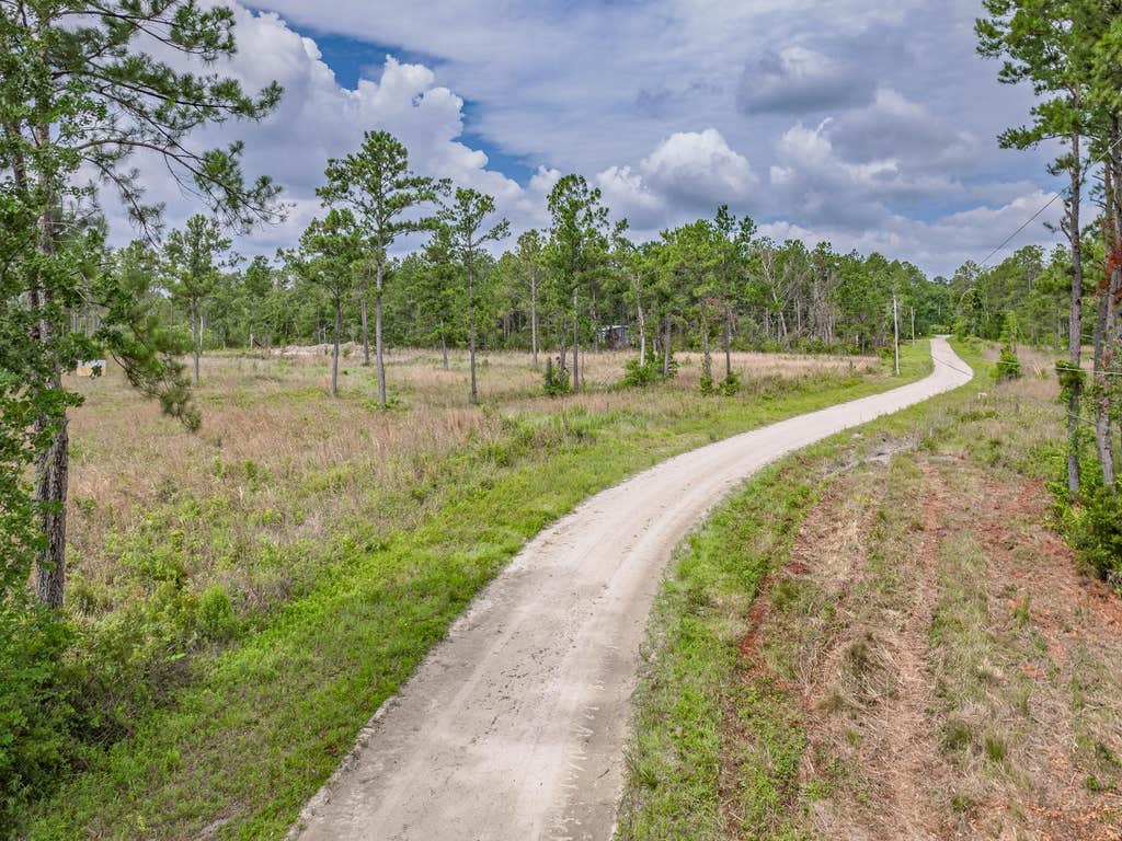 Photo of 0000 Albert Henry Road, Perry, FL 32348 (MLS # 402736)