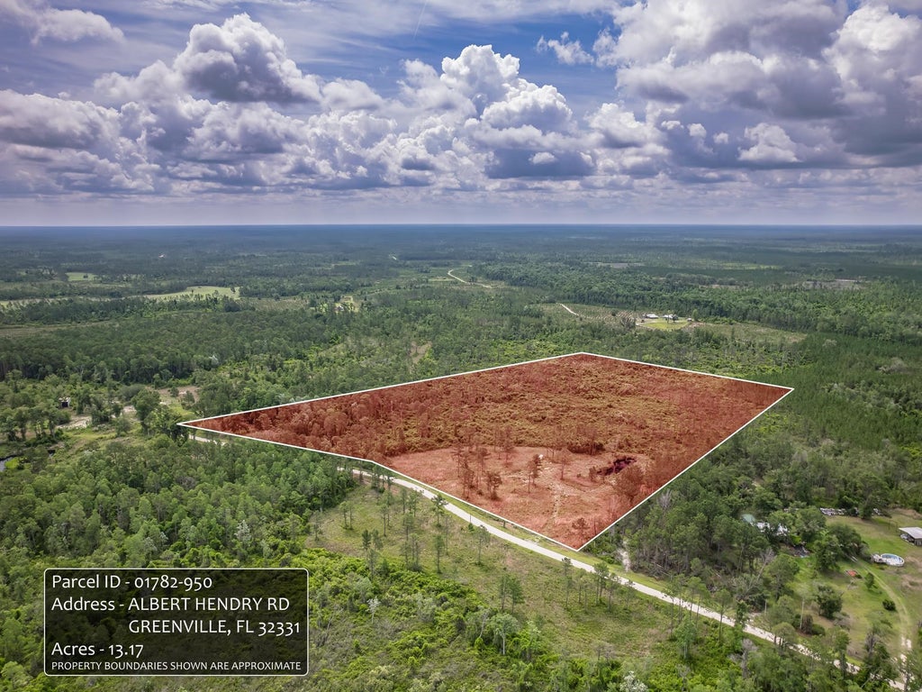Photo of 0000 Albert Henry Road, Perry, FL 32348 (MLS # 402736)