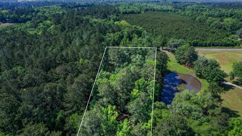 Tiny photo for 14008 Godbold Road, Tallahassee, FL 32309 (MLS # 385361)