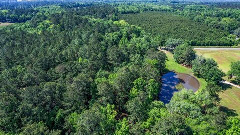 Tiny photo for 14008 Godbold Road, Tallahassee, FL 32309 (MLS # 385361)