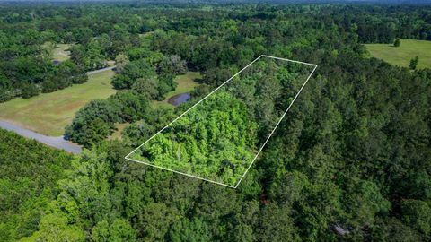 Tiny photo for 14008 Godbold Road, Tallahassee, FL 32309 (MLS # 385361)